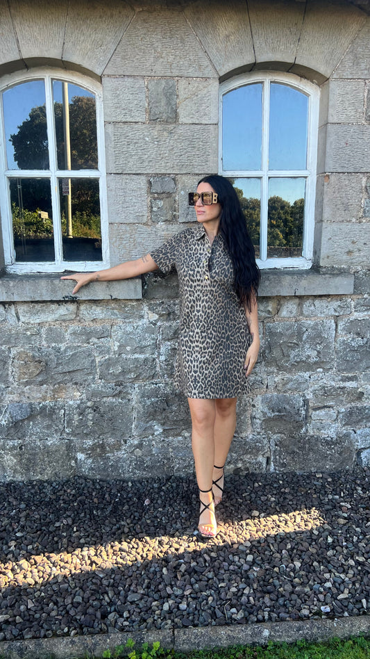 Leopard print Dress