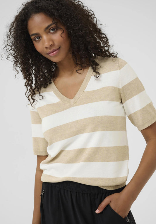 Lizza Striped V-Neck Pullover