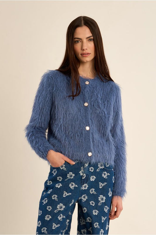 Blue Cardigan