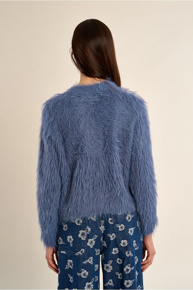 Blue Cardigan
