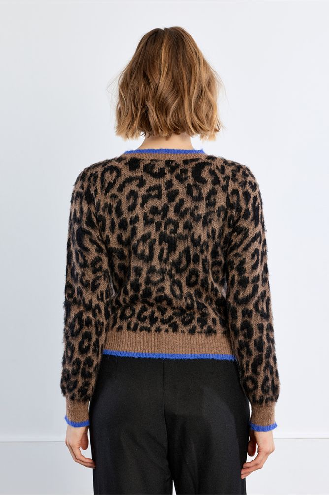 Leopard Print Jumper