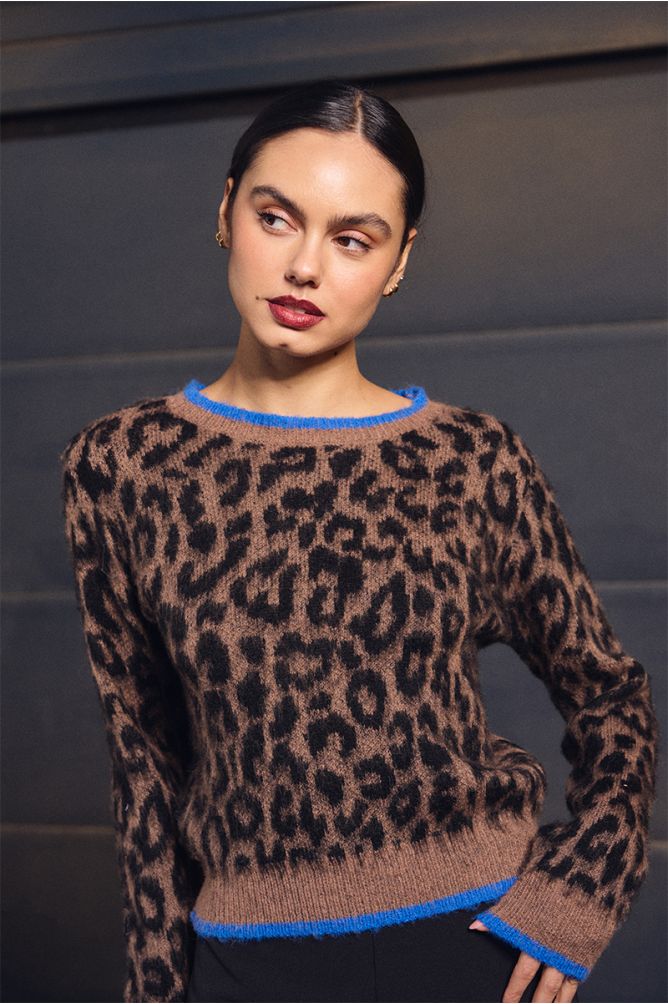 Leopard Print Jumper