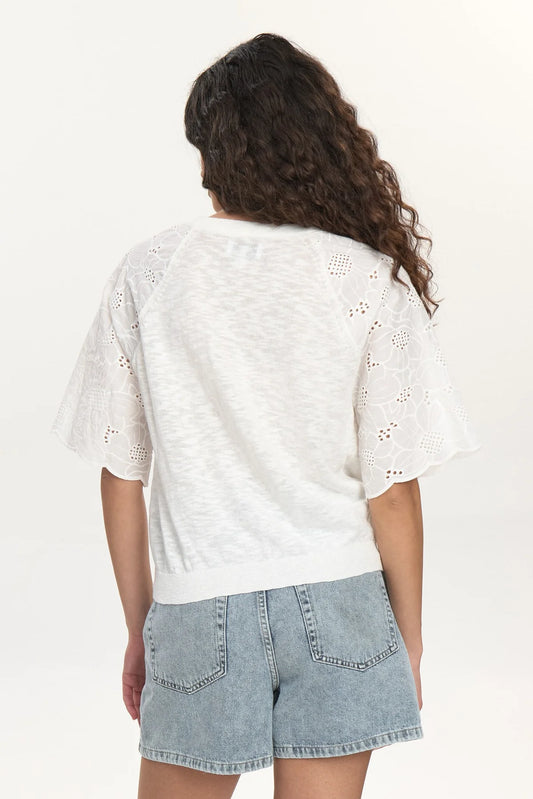 Numoella  Top
